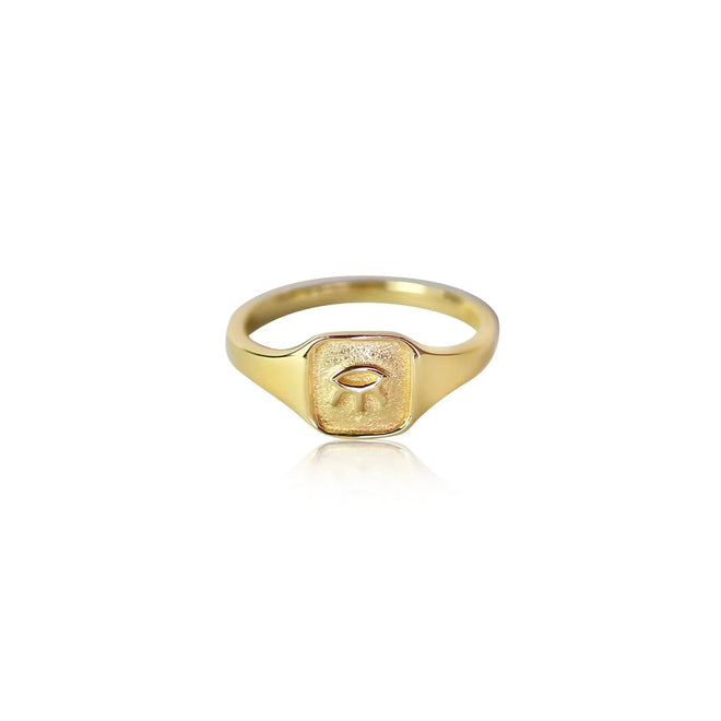 The Zaleska Signet Ring | Gold (Sizes 5-7, 10, 11, 14, 15 Remaining)