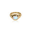 The Phases Ring | Gold (Sizes 4-6, 12, 15 Remaining)