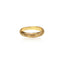 The Earth Ring | Gold