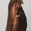 Hand wearing a gold ring on a plain background