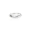 The Earth Ring | Silver