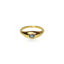 The Neptune Ring | Gold