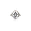 The Cosmos Ring | Silver